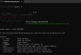 ghauri 跨平台自动检测并利用SQL注入漏洞的工具- 🔰雨苁ℒ🔰