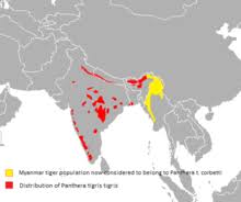 Bengal Tiger Wikipedia