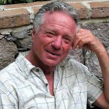 Amazon.com: The Last Observer: A Magical Battle for Reality (Audible Audio  Edition): G. Michael Vasey, Darren Marlar, Gary Vasey: Audible Books &  Originals