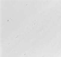 Bianco Sivec Marble Tiles - MMG Tile & Stone