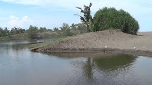Jembatan happy di laguna pantai bopong kebumen image source. Laguna Pantai Bopong Surorejan Puring Kebumen Masih Alami Aliran Sungainya Menuju Pantai Youtube