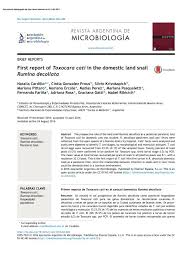 Cati metri patrati are un ar? First Report Of Toxocara Cati In The Domestic Land Snail Rumina Decollata