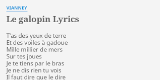 Sometimes i see the detail, which bothers you. Le Galopin Lyrics By Vianney T As Des Yeux De
