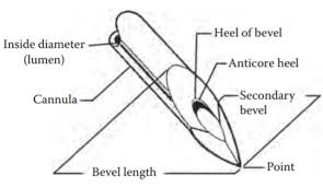 syringe needle gauge chart pdf www bedowntowndaytona com