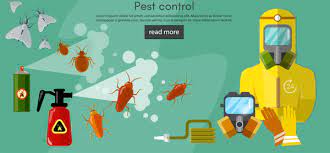 Most people will try and kill the ants they see by rove pest control services both residential and commercial properties. Addressing Your Own Pest Problem Ikari Solution To Your Pest Problem