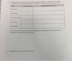 Psilophyta, lycophyta, sphenophyta and pterophyta. 1 Distinguish Between The Clades Of Seedless Plants Chegg Com