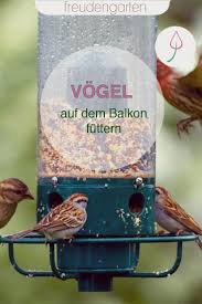 Vogel Auf Dem Balkon Futtern Garten Gartenthema Vogelfutterhaus