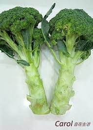 青花菜食譜集合 broccoli recipe carol 自在生活 broccoli recipes broccoli veg