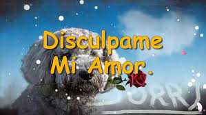 Disculpame Mi Amor No Quiero Perderte El Video Mas Bonito Para Pedir Disculpas Video Dailymotion