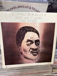 el camino del blues ocho 8 earl hooker dont hav