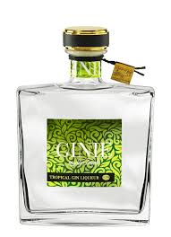 Gin is a distilled alcoholic drink that derives its predominant flavour from juniper berries (juniperus communis). Future Ginie Gin Likor Emil Scheibel Schwarzwald Brennerei Gmbh