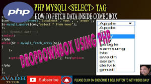 How To Show Data In Dropdownlist From Database In Php Display Data Com Php Tutorial Data Tutor