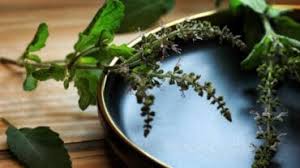 Tulsi tea benefits for mind and skin.- माइंड और स्किन के लिए तुलसी की चाय के  फायदे।