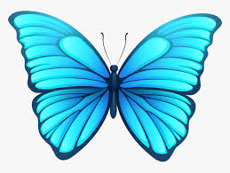 We did not find results for: Butterfly Png Images Transparent Background Butterfly Png Png Download Kindpng