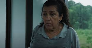 Regina Casé vai estrelar 'Nova Cancún', a próxima ficção de Sandra Kogut —  cineserie.com.br