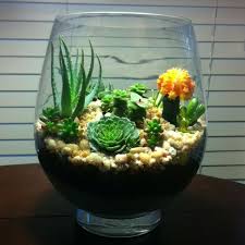 Combine thoroughly to form the foundation for the cactus soil. Pin By Melanie Fuller On Coolness Plants Plant In Glass Succulent Terrarium
