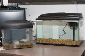 I really appreciate all of your support! Product Review Topfin 10 Gallon Led Starter Kit A Dad S Adventures