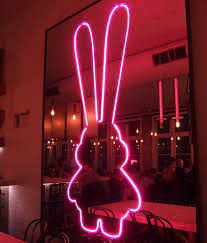 Pin On For Bunny