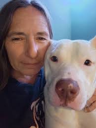 Urgent foster home needed for friendly dog in Riambel