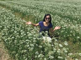 2016-09-25 11.27.07 HDR