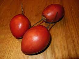 Tomatillos are a fruit used extensively in mexican cuisine. Ecuadorian Tomatillo Salsa Walthamstowfoodies
