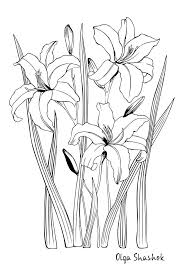 Flowers Coloring Pages Etsy In 2020 Lilies Drawing Flower Drawing Easy Flower Drawings