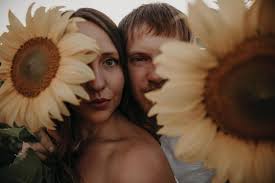 Sunflower ramblers at Eldorado lake
