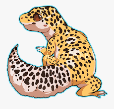 Geckie Leopard Gecko Art Free Transparent Clipart Clipartkey See more ideas about leopard gecko, gecko, reptiles. geckie leopard gecko art free