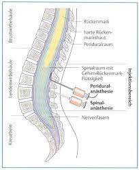 Das kann mitunter an ihrer verdauung. Pda Babyclub De