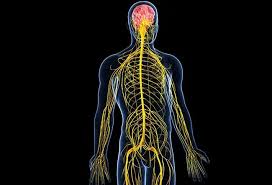 Image result for Sensation