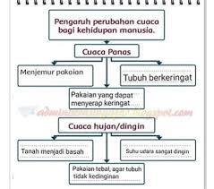 Lukas, sumatera utara, bahasa batak, suku. Materi Soal Dan Jawaban Sbo Tv Senin 18 Januari 2021 Kelas 1 2 3 4 5 6