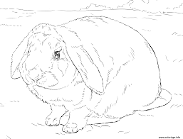 Ensemble de quatre lapin lapin 8 x 10» impressions jet d'encre de mes croquis de lapin original. Coloriage Realiste Lapin Jecolorie Com