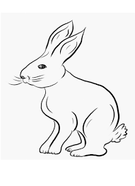 Ilustrația bugs bunny, bugs bunny looney tunes cartea de colorat cloud drawing page, textura nubes, zonă, negru png. Moraru Alexandru Moraruyon Twitter