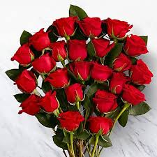 Just unpack, relax and enjoy your green buddies anywhere in pakistan*. 24 Red Roses No Vase Red Rose Flower Beautiful Red Roses Flower Delivery