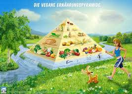10 vegane smoothie rezepte und 1 woche ernã¤hrungsplan, um den start in dein veganes abnehmprogramm perfekt zu machen! 7 Regeln Einer Gesunden Veganen Ernahrung Dr Med Henrich Provegan Stiftung