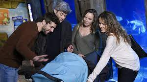Episodes ⇒ informations 01 02 03 04 05 06 07 08 09 10. Clem Saison 8 Episode 7 L Art D Etre Papa Clem Antenne Reunion Fr