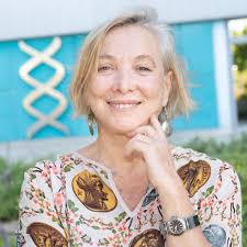 Virus-Cell interaction. The ASFV model