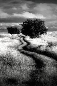 Rekomendasi toko celana, jaket, rok jeans. 5 Aplikasi Pengeditan Foto Hitam Putih Terbaik Untuk Android 2021