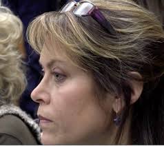 Two Former Members Among Applicants for North Allegheny School Board  Vacancy