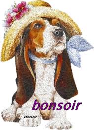 Bonsoir - Chien - Gif scintillant - Gratuit - Le Monde des Gifs