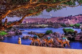 المعهد العالي للهندسة والتكنولوجيا بدمياط الجديدة. Ø§Ù„Ù†ÙˆØ¨Ø© Nubia Ø§Ø³ÙˆØ§Ù† Ø§Ø¬Ù…Ù„ Ù…Ù†Ø§Ø¸Ø± Ø·Ø¨ÙŠØ¹ÙŠØ© ÙÙŠ Ù…ØµØ± Facebook