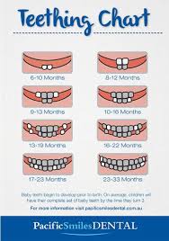 baby teeth chart tooth chart baby teething chart