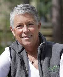 Medina County woman saves 8 horses, 3 donkeys from slaughter: Animals in  the News