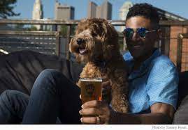 Ohio is filled with pet friendly hotels, restaurants and activities! Poochin On The Patio 14 Dog Friendly Watering Holes 614now