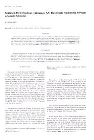 Image result for Ericinella