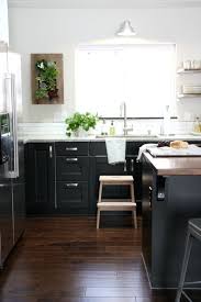 Kitchen Features Black Ikea Kitchen Cabinets Black Kitchen Cabinets Home Kitchens Black Kitchens