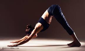 Unidad léxica estable formada de dos o más palabras que funciona como verbo (sacar fuerzas de flaqueza, acusar recibo). 7 Yoga Poses To Prepare For Headstand Doyou