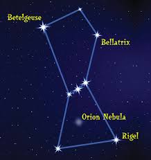 Image result for rigel