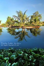 Yanbu L Photo Gallery Hardscape Photo Front Yard Landscaping