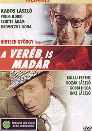 Watch Sparrows Are Birds Too Full movie Online In HD